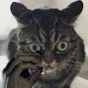 !!!!!unnamed (51).webp
