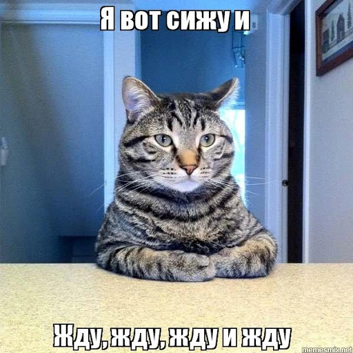 unnamed.webp