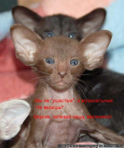 unnamed.webp