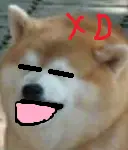 upload_2016-11-9_19-9-12.webp
