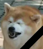upload_2016-12-18_16-52-49.webp