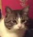upload_2016-8-26_21-47-41.webp