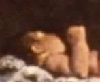 upload_2016-9-28_20-40-50.webp