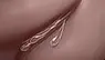 upload_2017-1-10_0-43-4.webp
