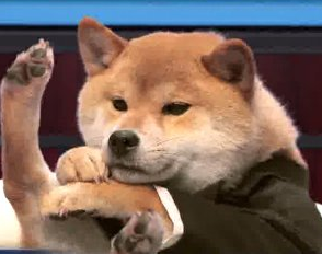 upload_2017-2-24_19-41-52.webp