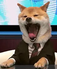 upload_2017-2-24_19-43-55.webp