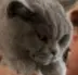 upload_2017-7-2_23-33-25.webp