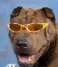 upload_2018-10-17_15-57-1.webp