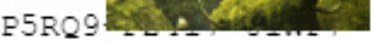 upload_2018-11-22_23-18-59.webp