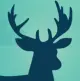 upload_2019-1-30_23-6-35.webp