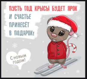 upload_2019-12-31_20-43-55.webp
