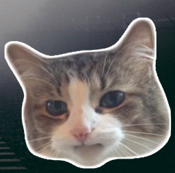upload_2019-2-7_18-49-52.webp