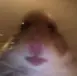 upload_2019-3-21_0-19-22.webp