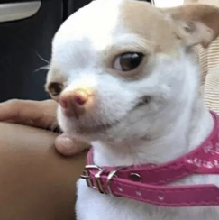 upload_2019-5-7_23-57-37.webp