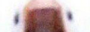 upload_2020-4-24_15-29-26.webp