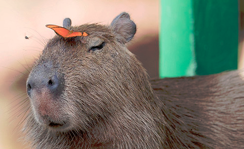 upload_2020-5-16_22-31-36.webp
