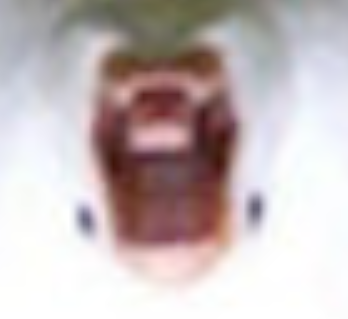 upload_2020-5-6_18-3-38.webp