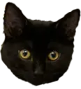 uranus.webp