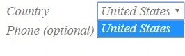 usa.webp