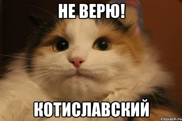 vava_50003260_orig_.webp
