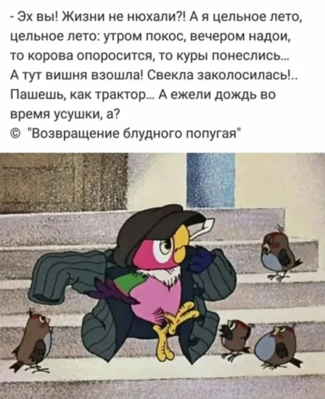 вести с полей.webp