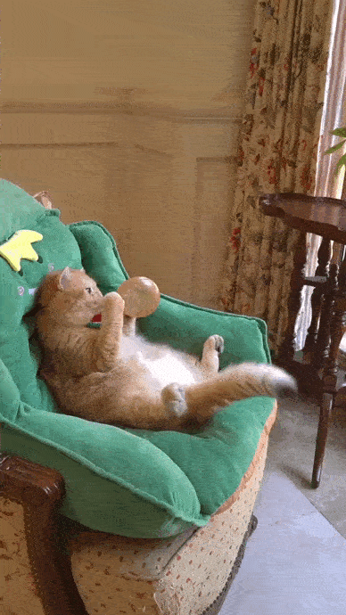 VID_20231003_193157_825.gif