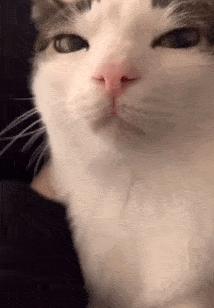 VID_20240114_155326_284.gif