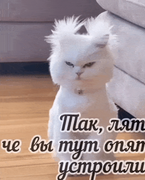 VID_20240130_060850_005.gif