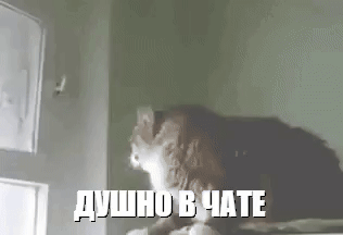 VID_20250105_114823_388.gif