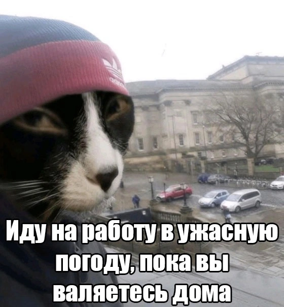 -vKQAFrjNQ8.jpg