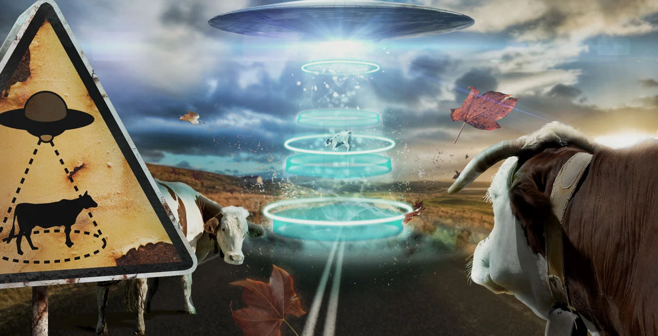vl_ufocow.webp