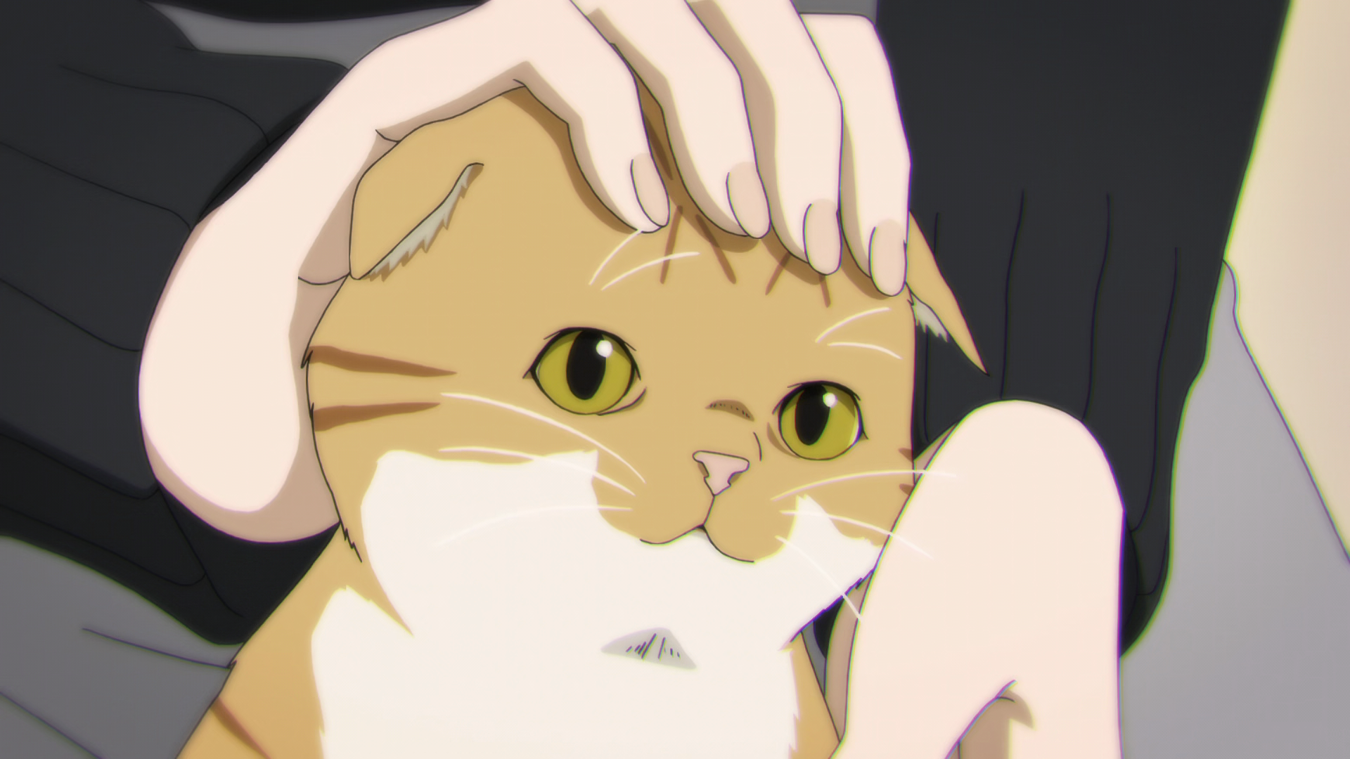 vlcsnap-2019-09-07-12h31m00s356.webp