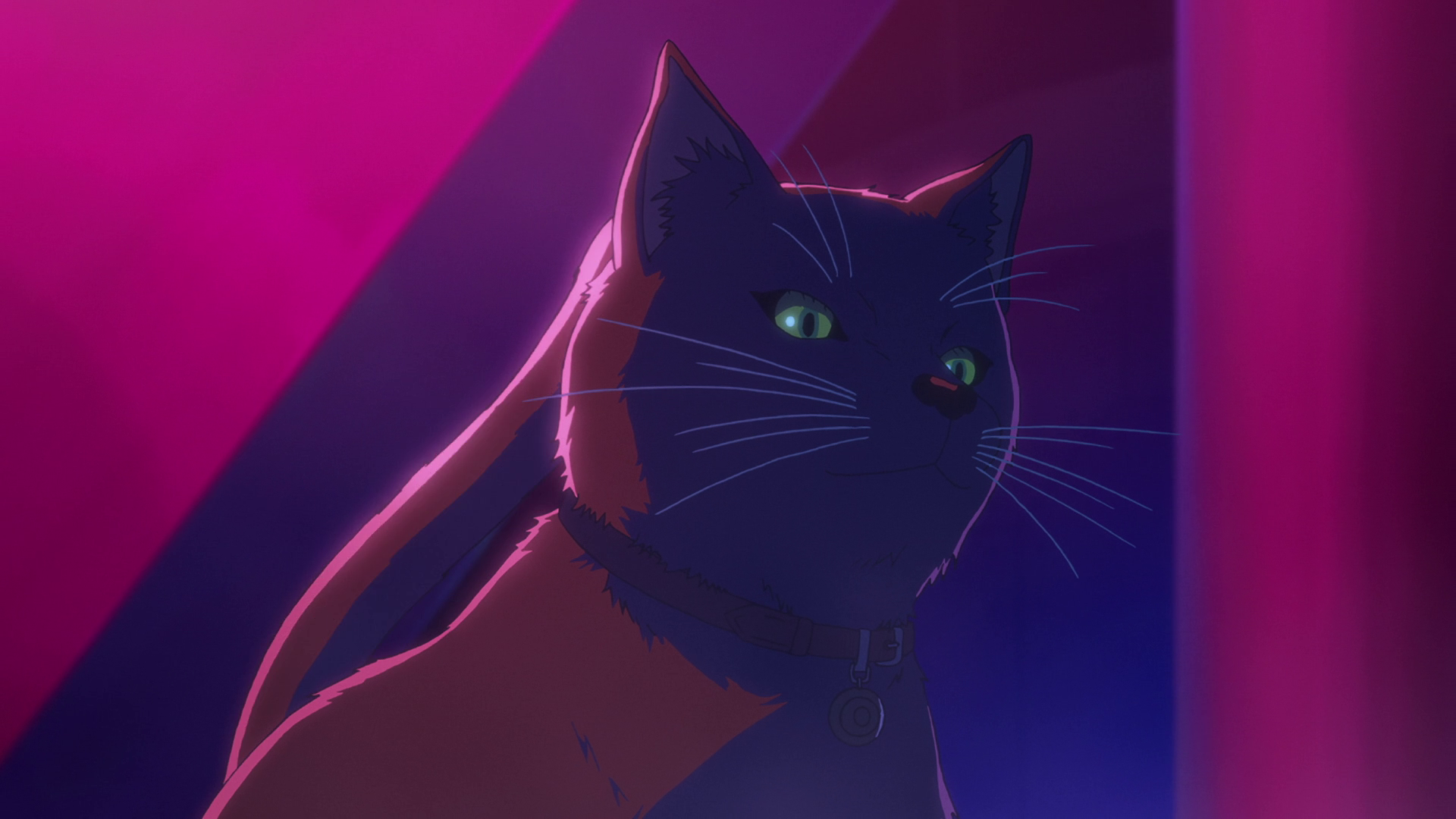 vlcsnap-2020-10-24-21h00m20s074.png