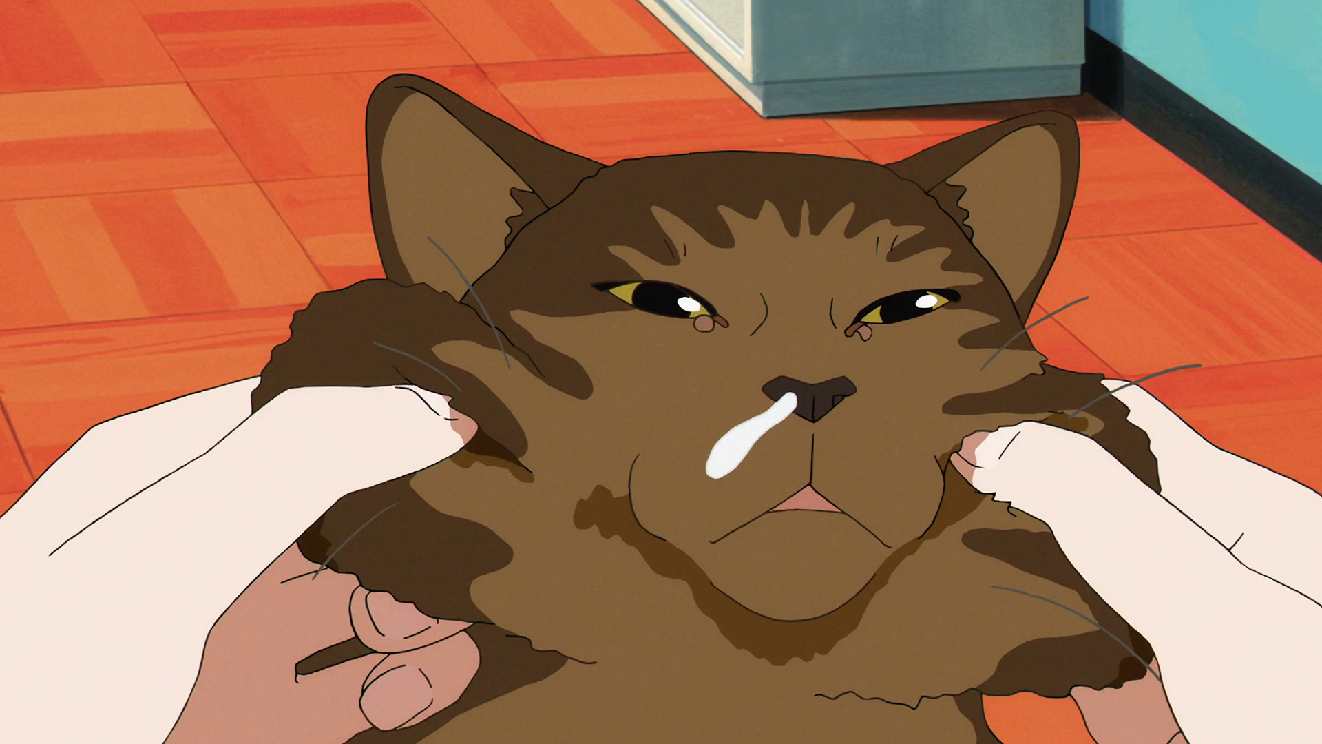 vlcsnap-2021-07-22-14h21m29s249.png