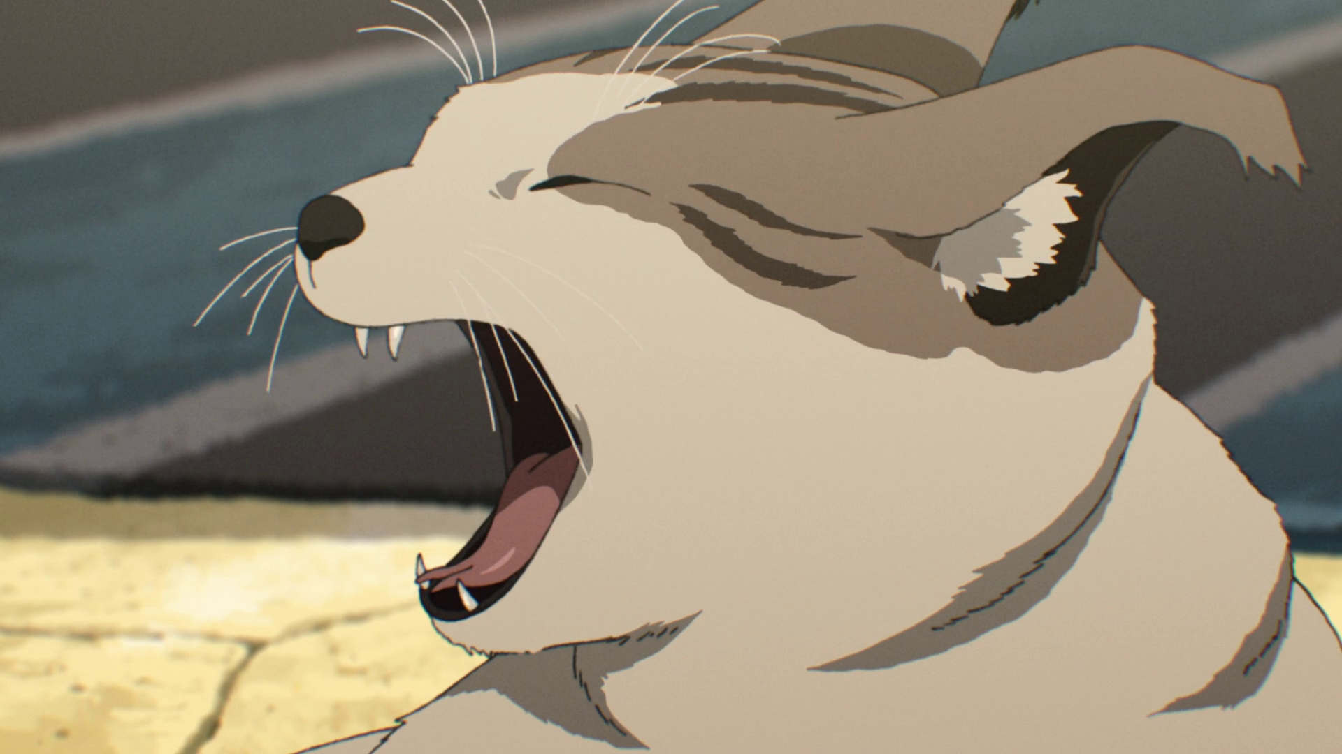 vlcsnap-2021-10-04-23h29m30s032.png