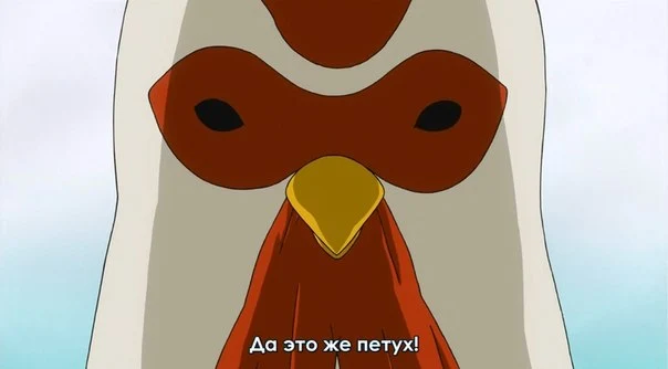 vnjGG-i-ZWw.webp