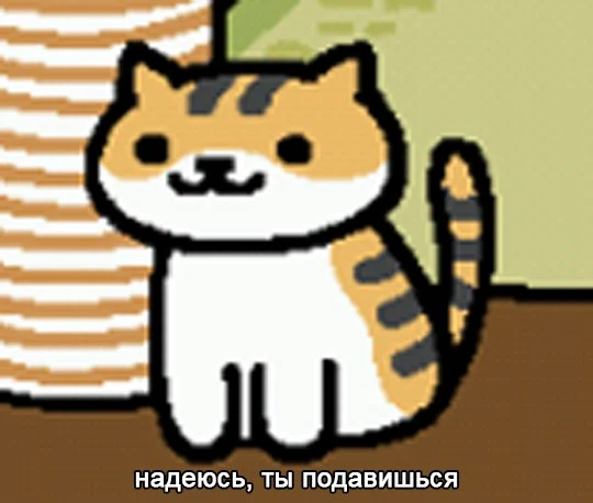 vtpGd-ZW6GA.webp