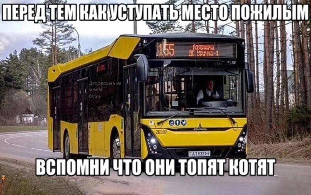 VWg60U84foY.webp