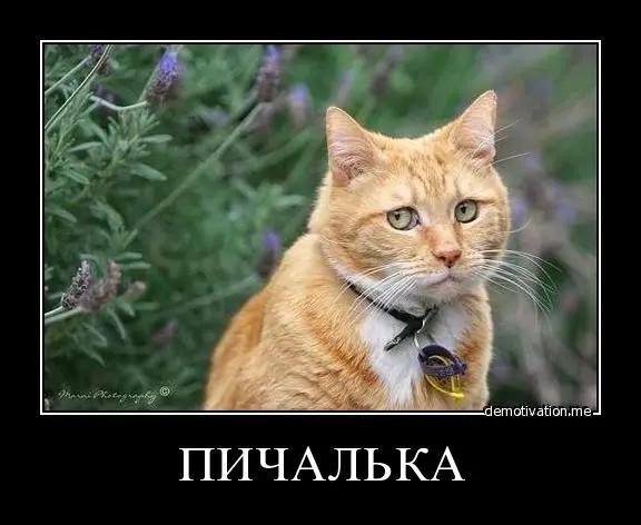 vyohhmkt02uu.webp