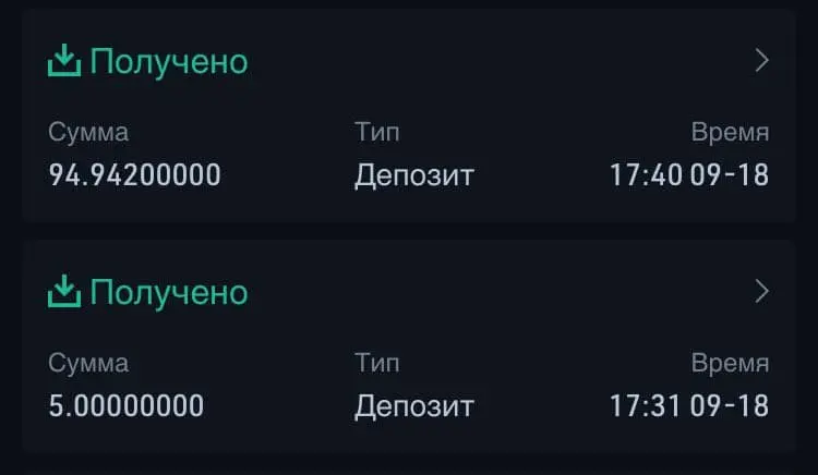 вывод 1.webp