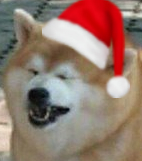 вывыв.webp