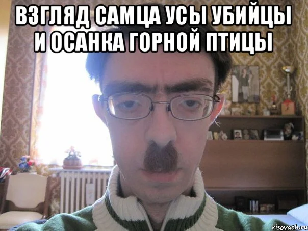 vzglyad-samca-usy-ubiycy-i-osanka_66216872_orig_.webp