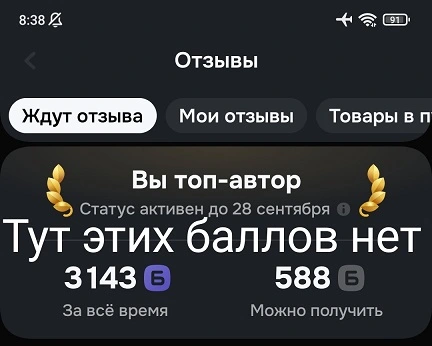w8EPoUYLBu8p.webp