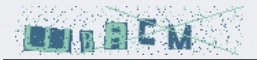 wbacm.webp