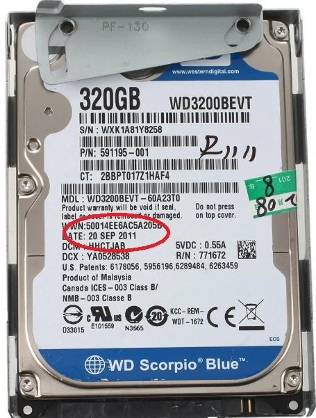 wdddd-scorp.webp