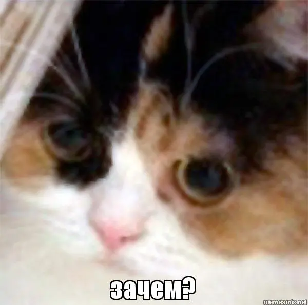 why.webp