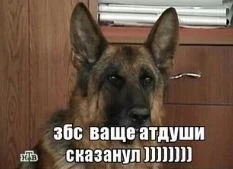 wky7IlPJcuo.webp
