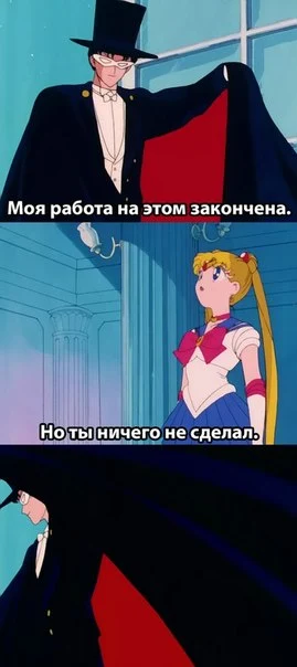 wMZ6pSRq6Fw.webp