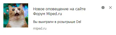 x.webp