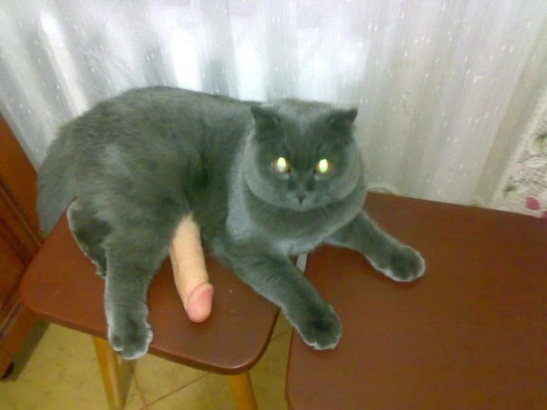 x_025c8be2.webp